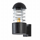 Уличный светильник Arte Lamp Coppia A5217AL-1BK