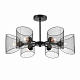 Люстра Lumion Tidina 8238/6C