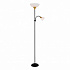 Торшер Arte Lamp Duetto A9569PN-2BK