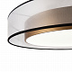 Потолочный светильник Freya Zoticus FR6005CL-L48G