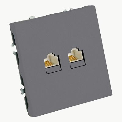 Розетка компьютерная 2-местная RJ-45 (механизм), STEKKER Эмили, RST00-5111-10, платиново-серый, soft touch