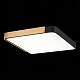Потолочный светодиодный светильник Evoluce Festa SLE201242-01
