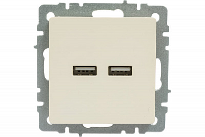 Розетка USB IEK Brite A+A 3,1А РЮ10-1-БрКр бежевый BR-U21-D31-K10