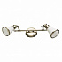 Спот Arte Lamp 81 A9231AP-2AB