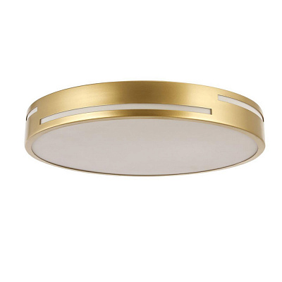 Потолочный светодиодный светильник F-Promo Pall2745-2C