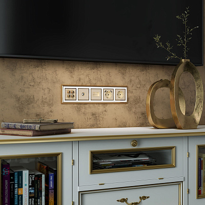 Розетка акустическая Werkel шампань a050862