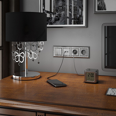 Розетка с заземлением Werkel серебряные a051514