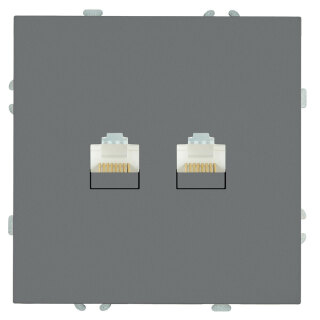 Розетка компьютерная 2-местная RJ-45 (механизм), STEKKER Эмили, RST00-5111-10, платиново-серый, soft touch