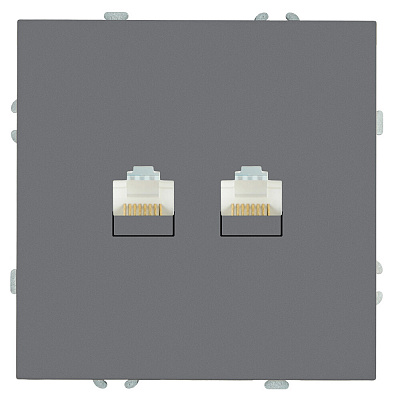 Розетка компьютерная 2-местная RJ-45 (механизм), STEKKER Эмили, RST00-5111-10, платиново-серый, soft touch