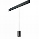 Трековый светильник Lightstar Rullo PRORP437
