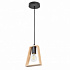 Подвесной светильник Arte Lamp Brussels A8030SP-1BK