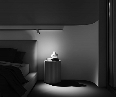 Магнитный трековый светильник Maytoni Focus LED TR032-4-12W3K-M-DS-BW