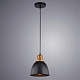 Подвесной светильник Arte Lamp Eurica A4245SP-1BK