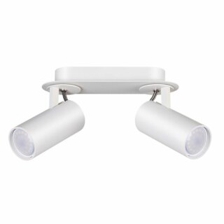 Спот Odeon Light Corse 3873/2C