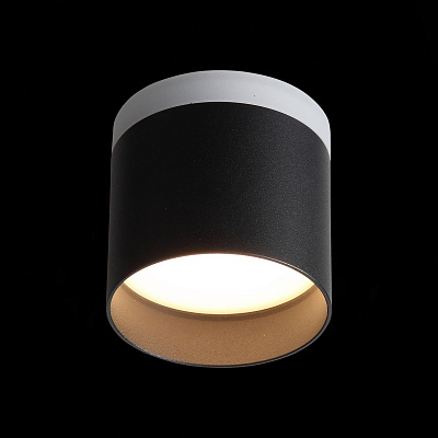 Потолочный светодиодный светильник ST Luce Panaggio ST102.402.09