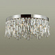 Потолочная люстра Odeon Light Dakisa 4985/6С