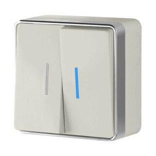 Выключатель двухклавишный с подсветкой слоновая кость Werkel Gallant W5020103 a036778
