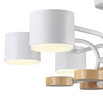 Потолочная люстра Lumion Rondo 8231/6C