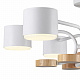 Потолочная люстра Lumion Rondo 8231/6C