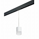 Трековый светильник Lightstar Rullo PRORP348681