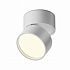 Спот Maytoni Onda C024CL-12W3K-W-1