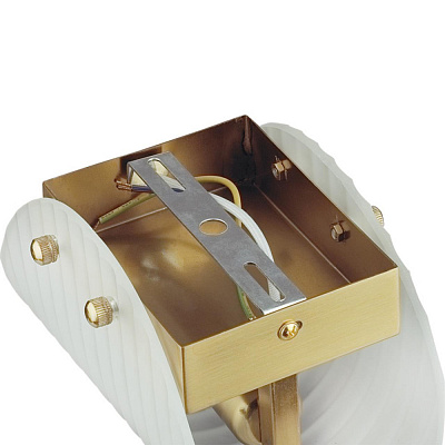 Настенный светильник Lumion Fioro 6571/1W