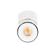 Спот Loft It Focus 10323/A White