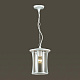 Уличный подвесной светильник Odeon Light Galen 4173/1