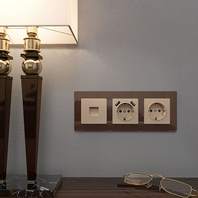 Накладка для USB розетки Werkel шампань a050854