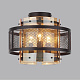 Потолочный светильник Lumion Zarina 8007/3C