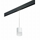 Трековый светильник Lightstar Rullo PRORP348681