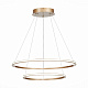 Люстра подвесная ST-Luce ST604 OUT ST604.243.56