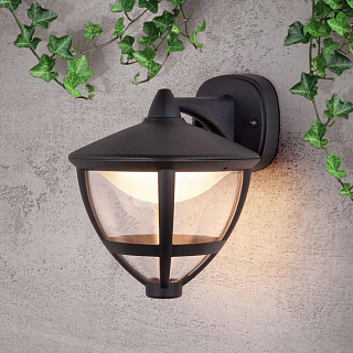 Уличный настенный светодиодный светильник Elektrostandard Gala GL LED 3001D a043196