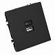 Розетка 2-местная USB + Type C (механизм), STEKKER Эмили, 250В, 20W, RST10-5115-05, черный уголь, soft touch