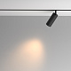 Магнитный трековый светильник Maytoni Artisan TR097-2-12W3K-M-BB