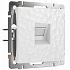 Розетка RJ-45 Werkel Hammer W1281001 белая a052015