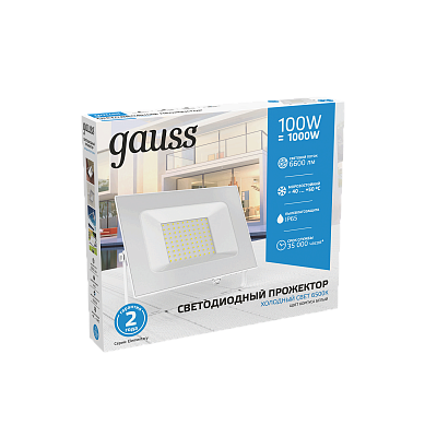 Прожектор Gauss Elementary 100W 9500lm 6500K 175-265V LED 613120300