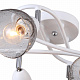 Потолочная люстра F-Promo Rosebud 2350-6U