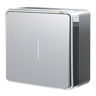 Выключатель одноклавишный с подсветкой Werkel Gallant серебряные a052766