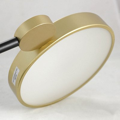 Потолочная светодиодная люстра Lussole Gilbert LSP-8433