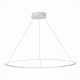 Люстра подвесная ST-Luce ST604 OUT ST604.543.57