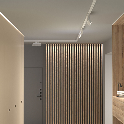 Трековый светильник Elektrostandard Garda 85018/01 a057443