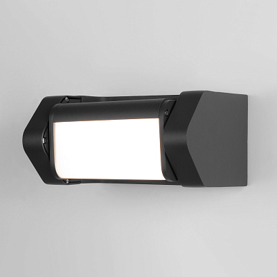 Уличный настенный светильник Elektrostandard DORS 35163/D a062882