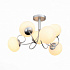 Потолочная люстра Evoluce Acini SL717.502.06