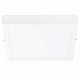 Потолочный светодиодный светильник Lightstar Zocco 324182
