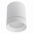 Потолочный светильник Arte Lamp Elle A1949PL-1WH
