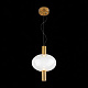 Подвесной светодиодный светильник ST Luce Allenore SL1582.303.01