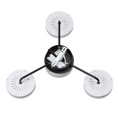 Потолочная люстра Lumion Didana 8236/4CL