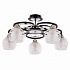 Потолочная люстра Arte Lamp Ginevra A1604PL-5BK