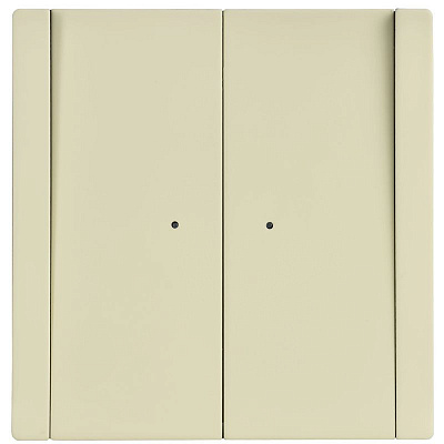 Выключатель 2-клавишный с индикацией 10А IEK FORTE&PIANO FP806M FP-V20-1-10-1-M-K41 металл серый сланец
